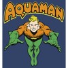 Boy's Justice League Aquaman Dives In Pull Over Hoodie - 2 of 4