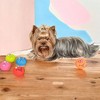 Alilang Pet Squeaky Latex Toy Set with Funny Faces Durable BPA-Free Eco-Friendly Design for Small and Medium Dogs- 6 Pack - 3 of 4