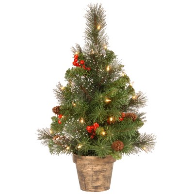 National Tree Company Pre-Lit Artificial Mini Christmas Tree, Green, Crestwood Spruce, White Lights,Pine Cones, Frosted Branches, Pot Base, 2 Feet
