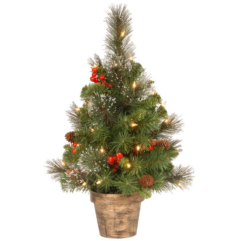 National Tree Company 2 ft Pre-Lit Artificial Mini Christmas Tree, Green, Crestwood Spruce, White Lights,Pine Cones, Frosted Branches, Pot Base, 1 of 8