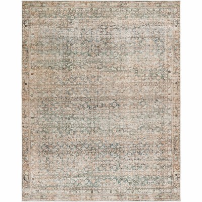 Hauteloom Marlene Damask Beige & Green Area Rug