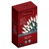 Celebrations Incandescent Mini Clear 50 ct String Christmas Lights 10.2 ft. - 2 of 2