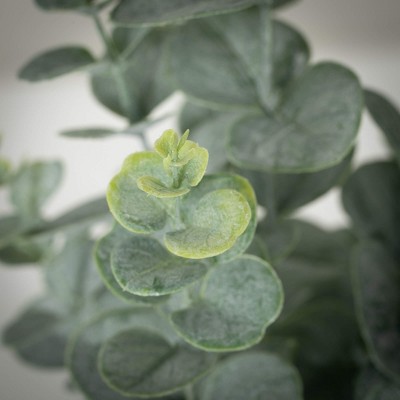 20.5" Green Faux Potted Eucalyptus Bush in White Plastic Pot