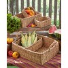 Tag Rectangular Tray W/Small Baskets S/5 - 3 of 3