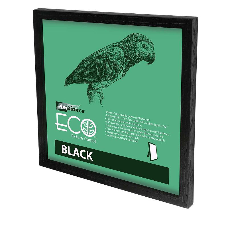 Ambiance Eco Frames - 4 Packs - Assorted Sizes and Colors, 2 of 7