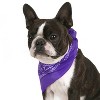 Mechaly Pack of 8 Paisley Cotton Dog Bandana Triangle Shape  - Fits Most Pets - 2 of 4