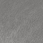 minky fleece: light grey