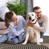 Lahome Modern Rainbow Jute Washable Outdoor Area Rug-Soft, Durable Carpet for Patio, Garden, or Balcony - 4 of 4