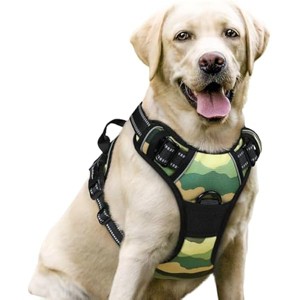 rabbitgoo Dog Harness No Pull with 2 Leash Clips, Control Handle for Large Dogs, Green Mountain,L - 1 of 1