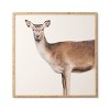 Emanuela Carratoni The Sweet Deer Bamboo Framed Wall Art - Deny Designs - 2 of 3