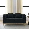 NicBex Couches for Living Room 60" Modern Oversized 2-Seater Sofa Couch Comfort Fabric Upholstered Sofa With 2 Pillows for Bedroom - 4 of 4