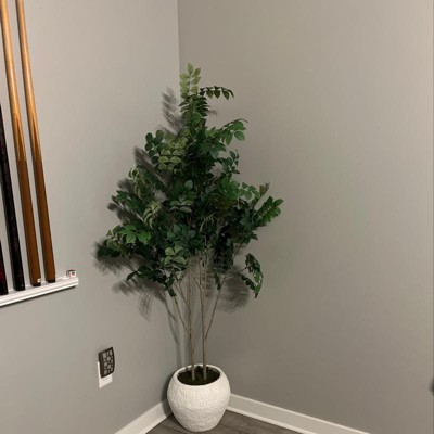 Guest review image 2 of 3, zoom in