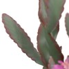 Nasitip 36''Tall Artificial Cactus, Fake Cactus Potted Faux Cacti Plants in Pot Lifelike Potted for Balcony Living Room Kitchen Entranceway - 3 of 4