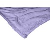 Disney Princesses Aladdin And Jasmine Silk Touch Throw Blanket 50x60 Inches - 2 of 4