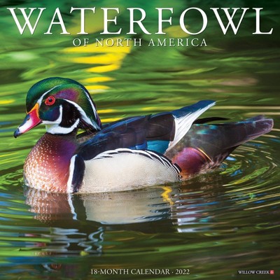 2022 Wall Calendar Waterfowl - Willow Creek Press