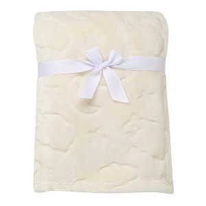 Baby Starters Soft Plush Baby Blanket, 30 inch x 40 inch - 1 of 1