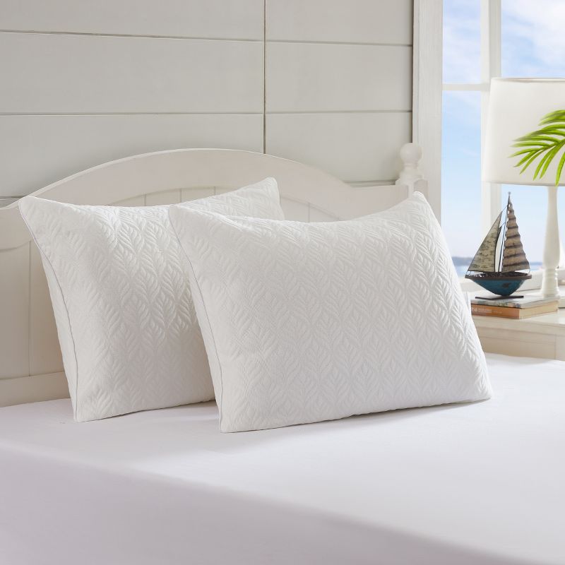 Avocado Knit Blend Twin Pack Standard/Queen Pillows for Back & Side Sleepers by Tommy Bahama® - Standard/Queen Size, 1 of 6