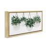 Stupell Industries Hanging Planters House Plants, 31" x 14" - 3 of 4