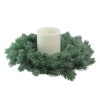 Northlight 16" Unit Frosted Green Pine Artificial Christmas Wreath - image 2 of 3