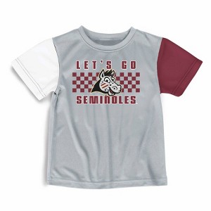 NCAA Florrida State Seminoles Toddler Boys' T-Shirt and Shorts Set - 1 of 3