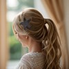 Unique Bargains Women's Starfish Shape Hair Pad Bangs Black 1 Pc - 2 of 4