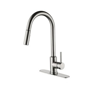 PAGED Single Handle Bathroom Sink Faucet,Bathroom Faucet with Pull Down Sprayer for Home Sinks - 1 of 4