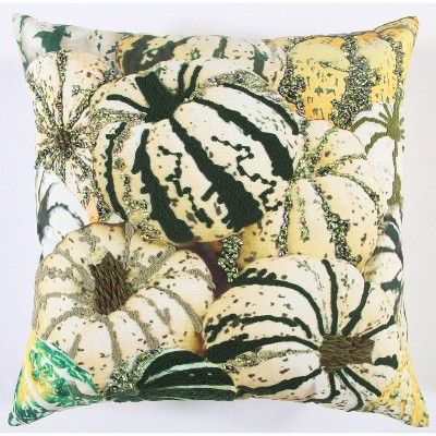 20"x20" Oversize Pumpkins Square Throw Pillow Dark Green - Rizzy Home