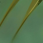 metallic gold