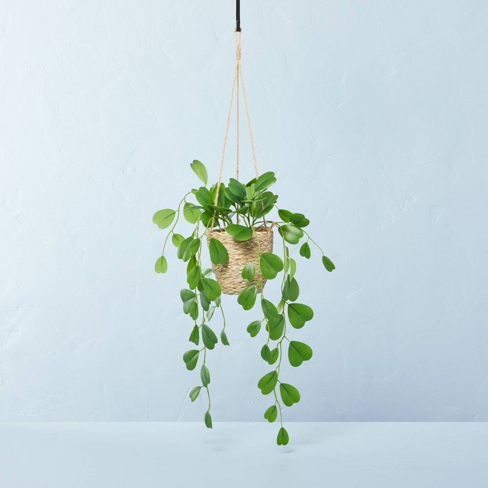 Faux Hoya Leaf Hanging Basket Arrangement - Hearth & Hand with Magnolia