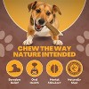 WhiteTail Naturals Medium Deer Antler Dog Chews – 3 Pack | Long-Lasting Natural Chew Bones for Medium Dogs | Odorless & Safe Alternative to Rawhide - 4 of 4