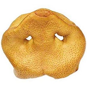Pawstruck Pig Snouts for Dogs , Bulk Dog Dental Treats & Natural Pork Dog Chews, Made in USA, American Made - 1 of 4