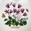Portmeirion Botanic Garden Scalloped Edge Heart Shaped Dish - 2 of 4