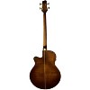 Sawtooth Rudy Sarzo Signature Acoustic-Electric Bass Guitar - 4 of 4