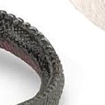 8 galapagos island animal