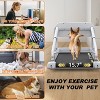 FYC 2025 New Design Pet Treadmill with Incline, Quiet Smart Adjustable Speed Perfect for Small/Medium Dogs - 2 of 4