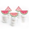 Big Dot of Happiness Sweet Watermelon - Dessert Cupcake Toppers - Fruit Party Clear Treat Picks - Set of 24 - 2 of 4