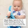 Baby Jack The Learning Lovey Arctic Animals Polar Bear Penguins Crinkle Sensory Tag Toy 8" x 8" - 2 of 4