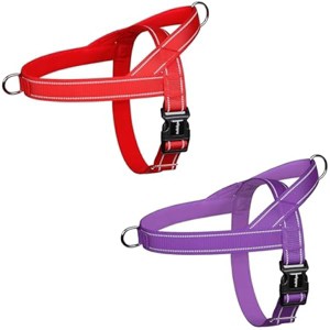 rabbitgoo Dog Harness No Pull, Quick Fit Handle, Chest Adjustable Reflective Pet Vest, No Choke Escape Proof for Walking Training - 1 of 1