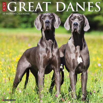 2022 Wall Calendar Just Great Danes - Willow Creek Press
