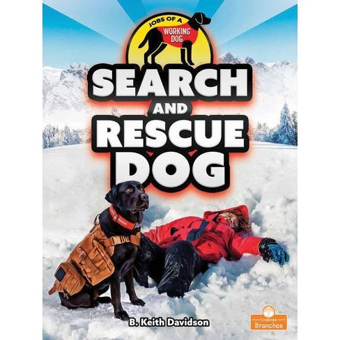 search and rescue dogs