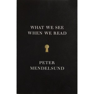 What We See When We Read - by  Peter Mendelsund (Paperback) - 1 of 1