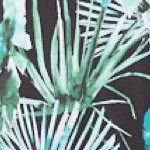 tropical leaves