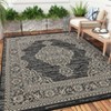 Vintage Rug Soft  Non Slip Carpet Low Pile Stain Resistant Floor Cover Oriental Accent  Rug for Living Room Bedroom Nursery,Black/4'x5'3" - 3 of 4