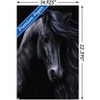 Trends International Laurie Prindle - The Black Unframed Wall Poster Prints - 3 of 4