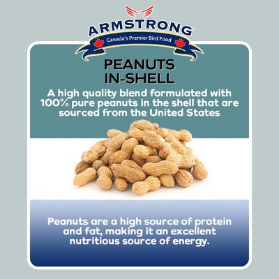 10lb Peanuts-in-Shell Bird and Wildlife Food