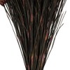 Vickerman 36"-40" Bell Grass with Seed Pods, Preserved - 3 of 4