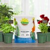Soil Sunrise Dry Horticultural Molasses Powder, Indoor/Outdoor Gardening Soil Amendment for Plants - 2 of 4