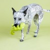 PetShop by Fringe Studio One In A Cha Million Dog Interactive Toy - 3 of 4
