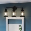 Ludlow Earth Black Vanity Light - 3 of 4