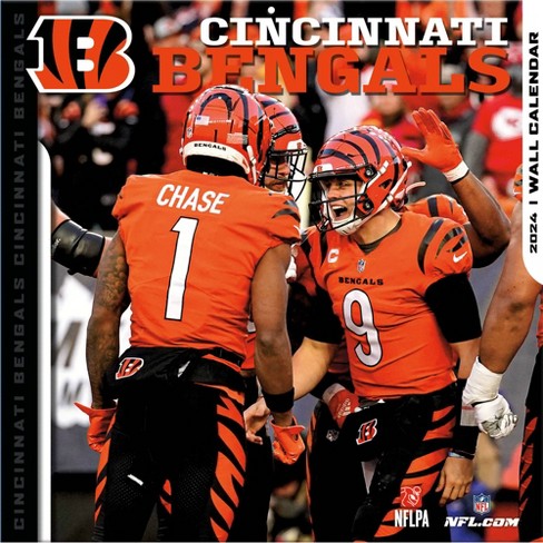 Nfl Cincinnati Bengals 12x 12 2024 Wall Calendar : Target